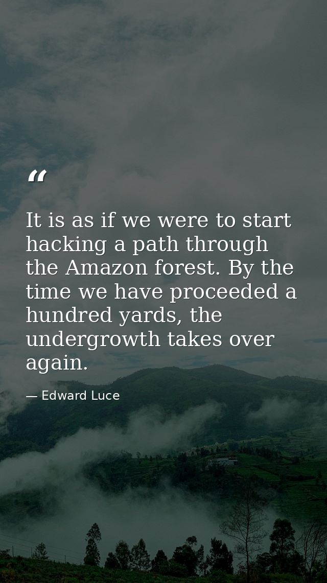 It is as if we were to start hacking a path through the Amazon forest. By the time we have proceeded a hundred yards, th — Edward Luce