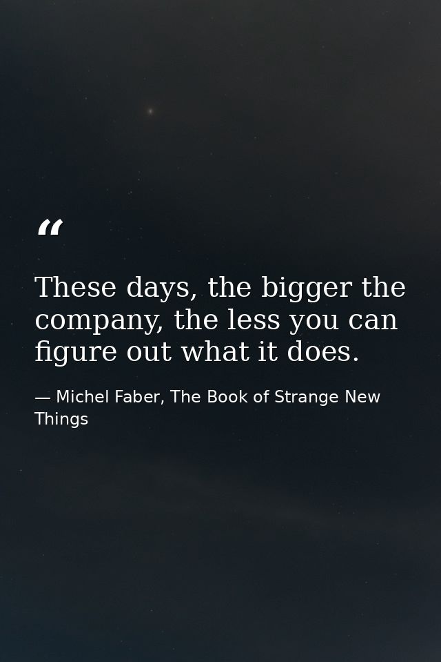 These days, the bigger the company, the less you can figure out what it does. — Michel Faber, The Book of Strange New Things