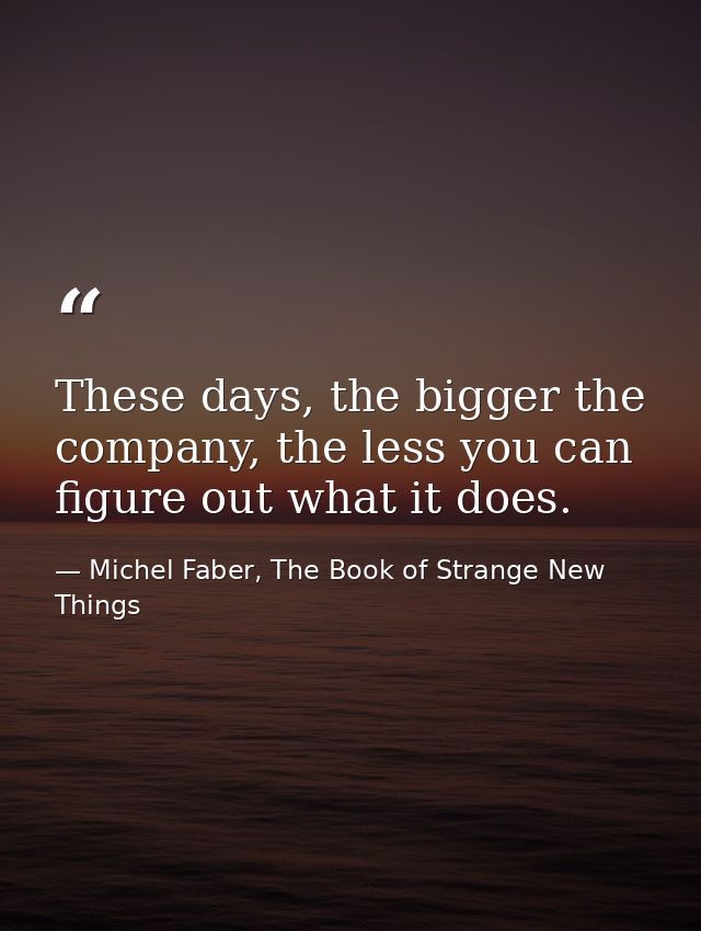 These days, the bigger the company, the less you can figure out what it does. — Michel Faber, The Book of Strange New Things
