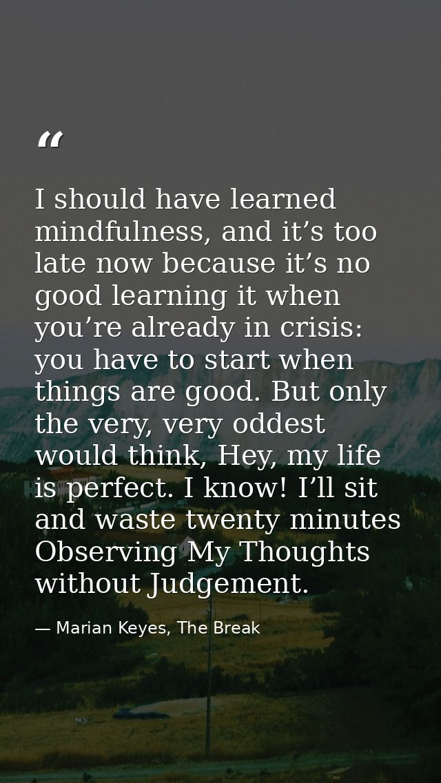 I should have learned mindfulness, and it’s too late now because it’s no good learning it when you’re already in crisis: — Marian Keyes, The Break