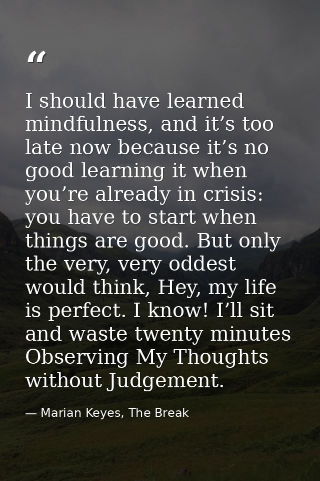 I should have learned mindfulness, and it’s too late now because it’s no good learning it when you’re already in crisis: — Marian Keyes, The Break