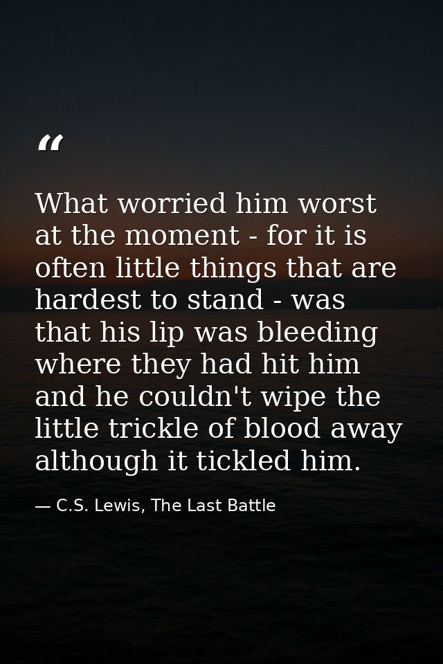 What worried him worst at the moment - for it is often little things that are hardest to stand - was that his lip was bl — C.S. Lewis, The Last Battle
