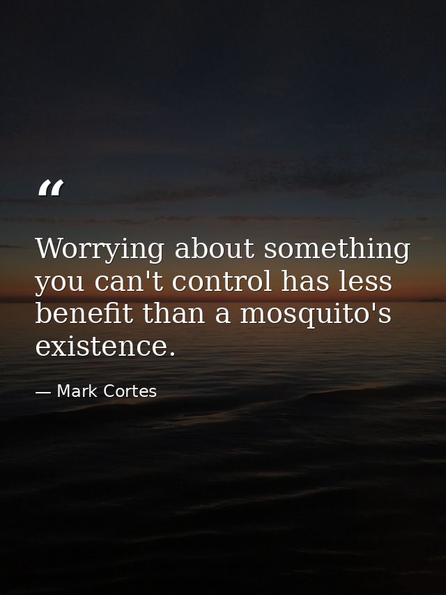 Worrying about something you can't control has less benefit than a mosquito's existence. — Mark Cortes