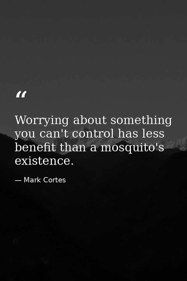 Worrying about something you can't control has less benefit than a mosquito's existence. — Mark Cortes