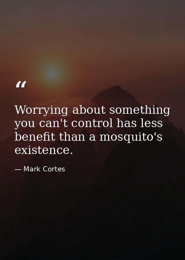 Worrying about something you can't control has less benefit than a mosquito's existence. — Mark Cortes