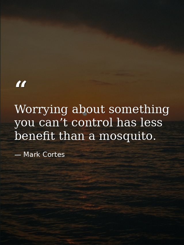 Worrying about something you can’t control has less benefit than a mosquito. — Mark Cortes