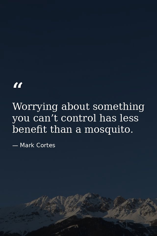 Worrying about something you can’t control has less benefit than a mosquito. — Mark Cortes