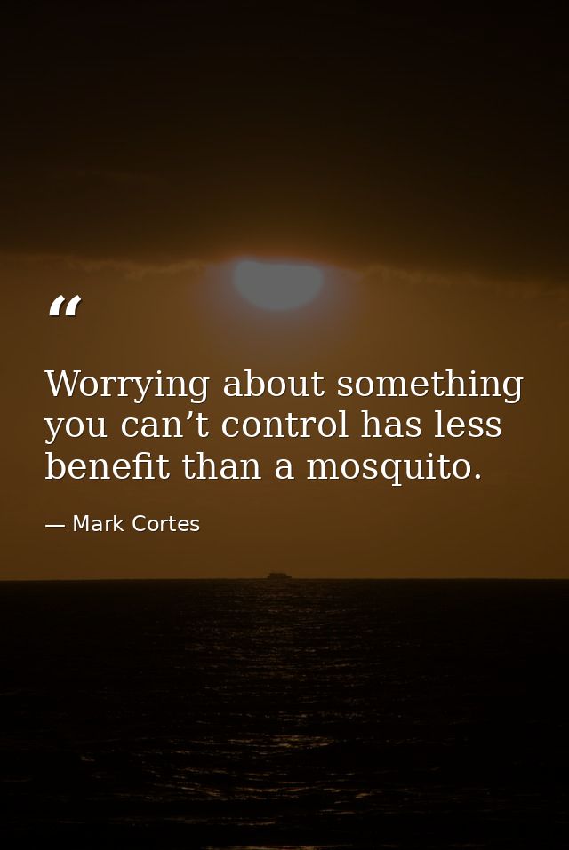 Worrying about something you can’t control has less benefit than a mosquito. — Mark Cortes