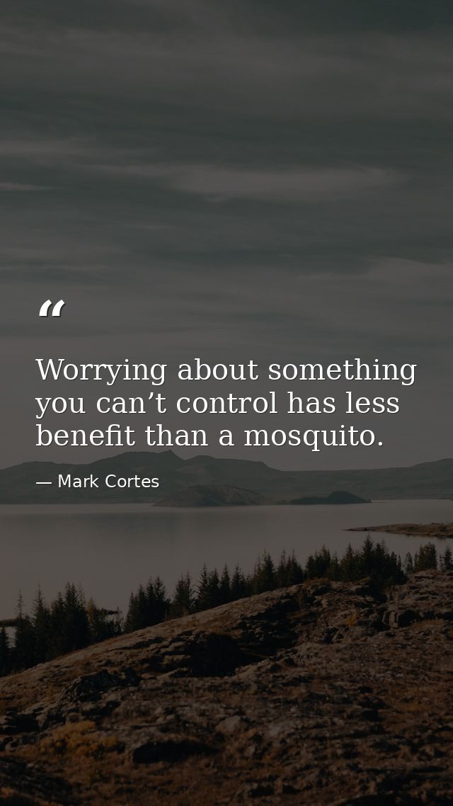 Worrying about something you can’t control has less benefit than a mosquito. — Mark Cortes