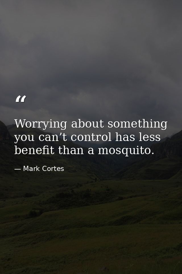Worrying about something you can’t control has less benefit than a mosquito. — Mark Cortes