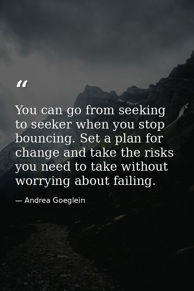 You can go from seeking to seeker when you stop bouncing. Set a plan for change and take the risks you need to take with — Andrea Goeglein