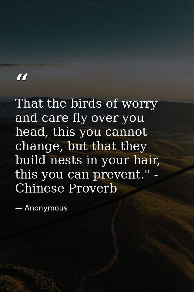 That the birds of worry and care fly over you head, this you cannot change, but that they build nests in your hair, this — Anonymous