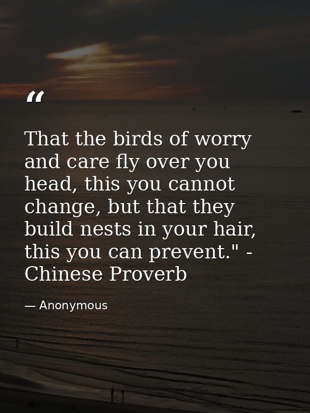 That the birds of worry and care fly over you head, this you cannot change, but that they build nests in your hair, this — Anonymous