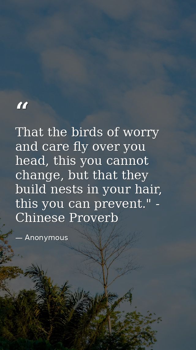 That the birds of worry and care fly over you head, this you cannot change, but that they build nests in your hair, this — Anonymous