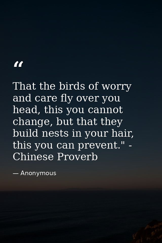 That the birds of worry and care fly over you head, this you cannot change, but that they build nests in your hair, this — Anonymous