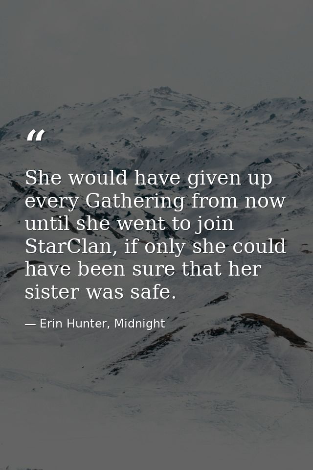 She would have given up every Gathering from now until she went to join StarClan, if only she could have been sure that  — Erin Hunter, Midnight