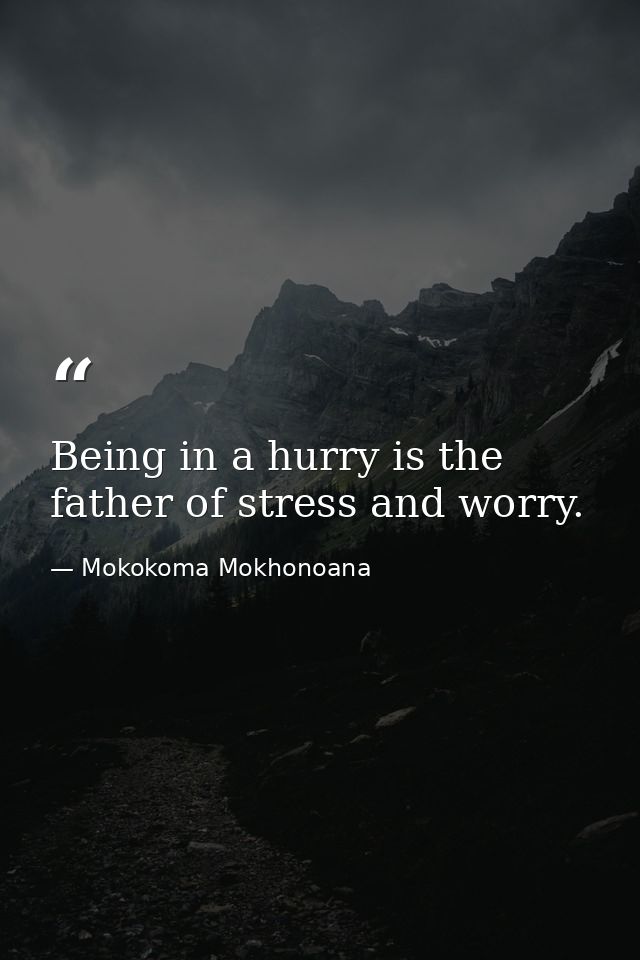 Being in a hurry is the father of stress and worry. — Mokokoma Mokhonoana