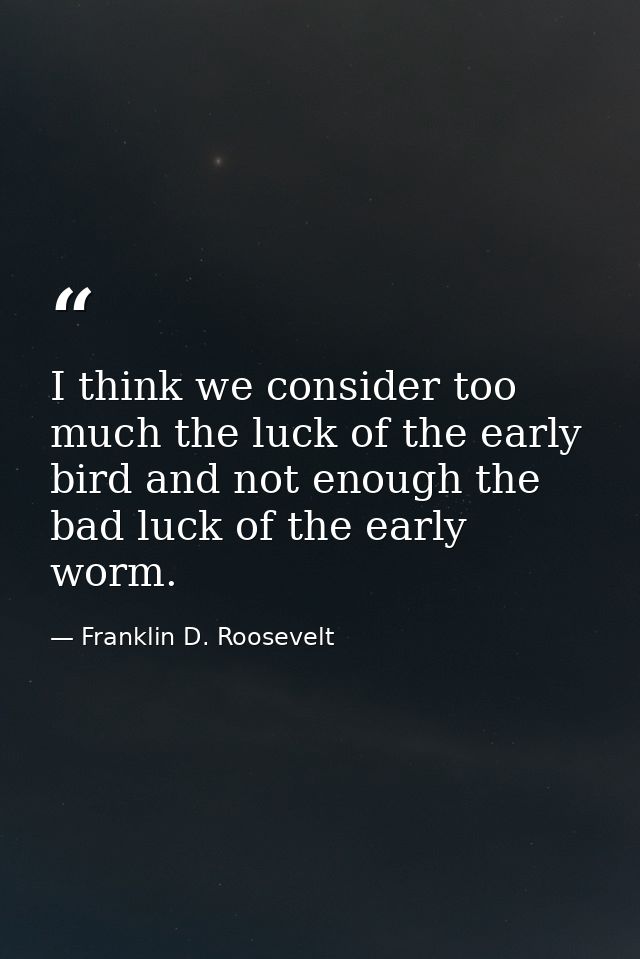 I think we consider too much the luck of the early bird and not enough the bad luck of the early worm. — Franklin D. Roosevelt