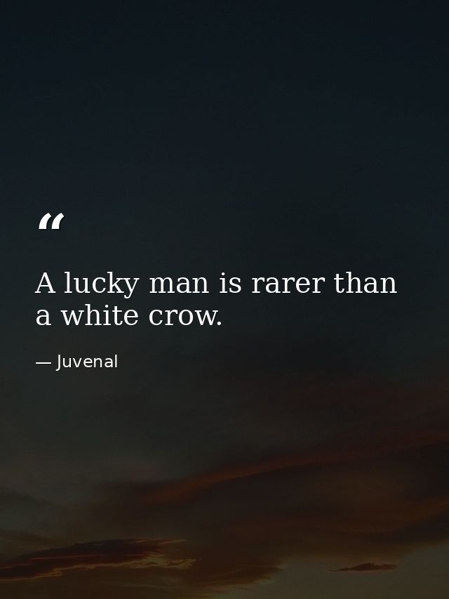A lucky man is rarer than a white crow. — Juvenal