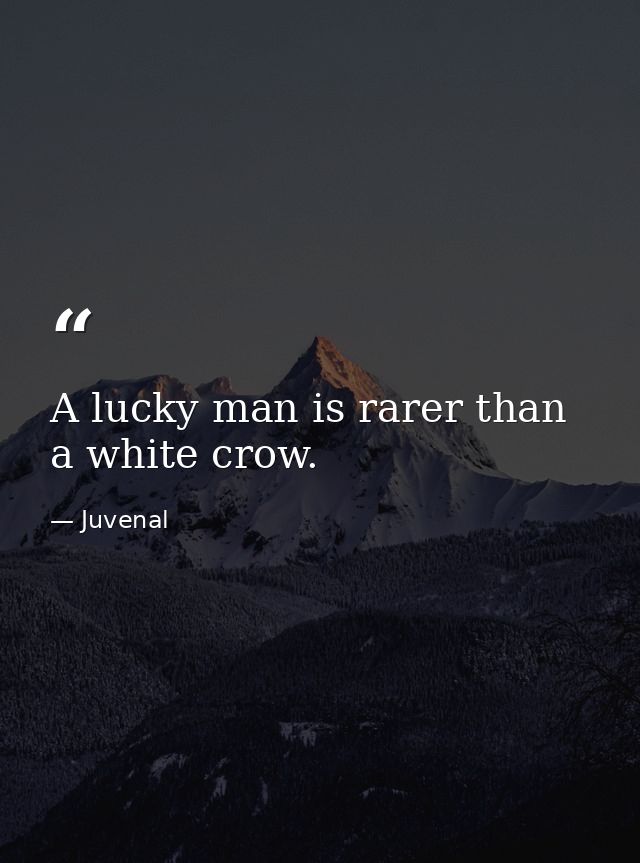 A lucky man is rarer than a white crow. — Juvenal