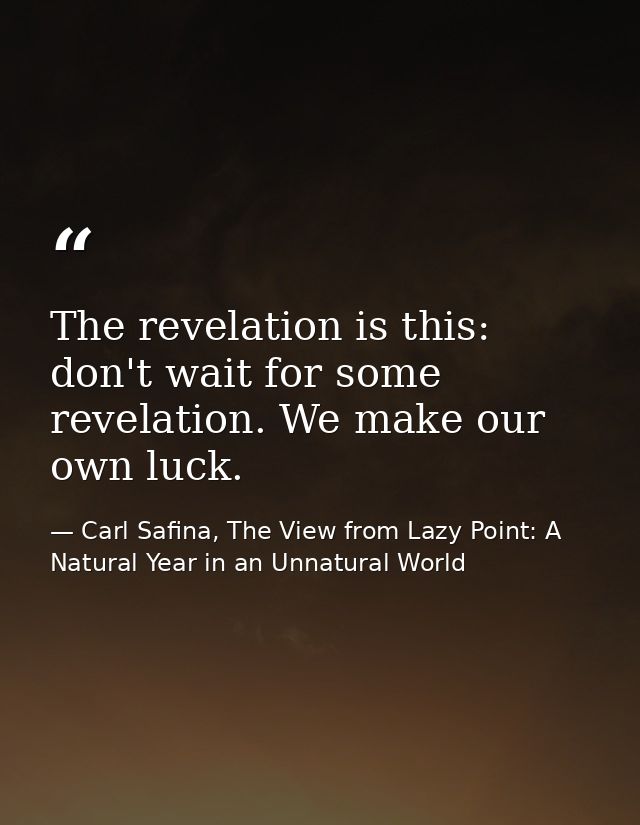 The revelation is this: don't wait for some revelation. We make our own luck. — Carl Safina, The View from Lazy Point: A Natural Year in an Unnatural World