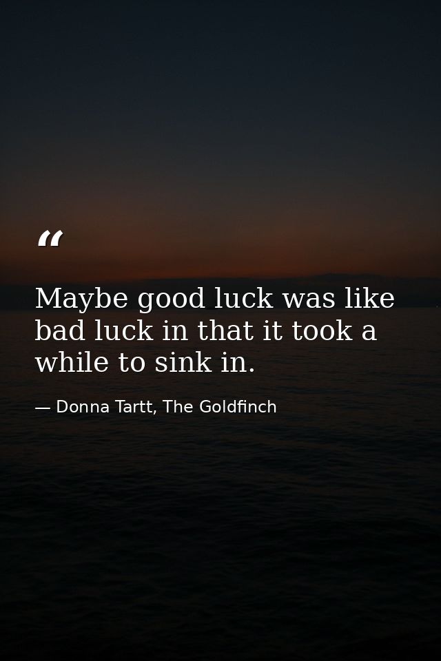 Maybe good luck was like bad luck in that it took a while to sink in. — Donna Tartt, The Goldfinch