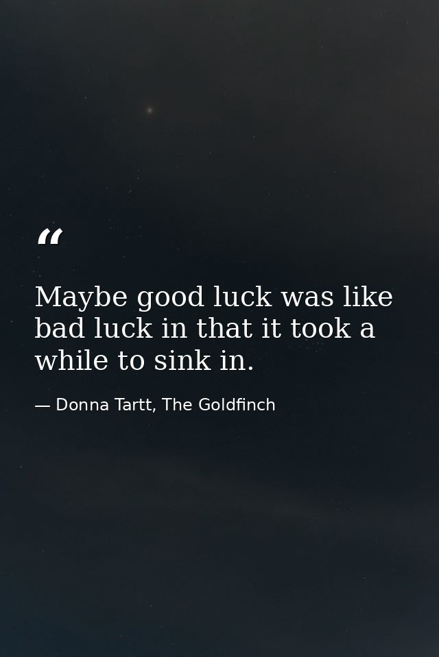 Maybe good luck was like bad luck in that it took a while to sink in. — Donna Tartt, The Goldfinch