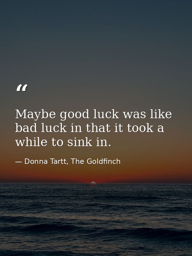 Maybe good luck was like bad luck in that it took a while to sink in. — Donna Tartt, The Goldfinch