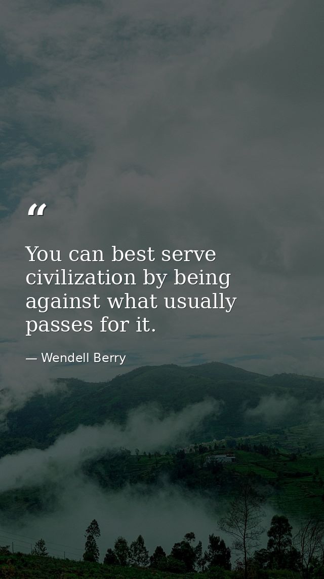 You can best serve civilization by being against what usually passes for it. — Wendell Berry
