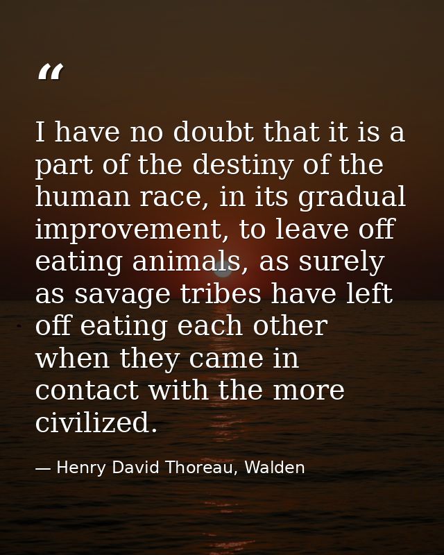 I have no doubt that it is a part of the destiny of the human race, in its gradual improvement, to leave off eating anim — Henry David Thoreau, Walden