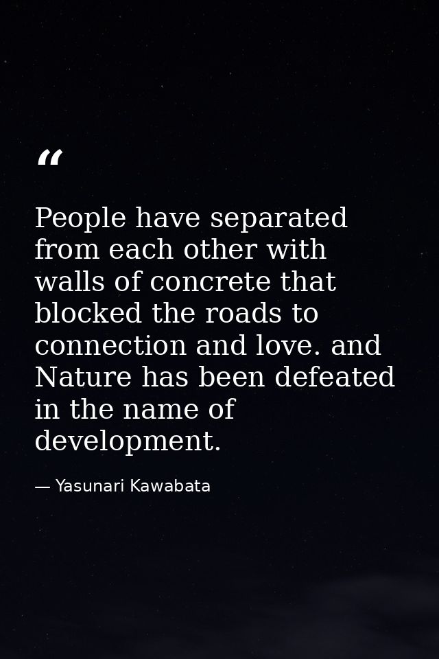People have separated from each other with walls of concrete that blocked the roads to connection and love. and Nature h — Yasunari Kawabata