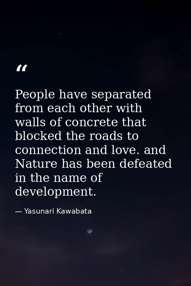 People have separated from each other with walls of concrete that blocked the roads to connection and love. and Nature h — Yasunari Kawabata