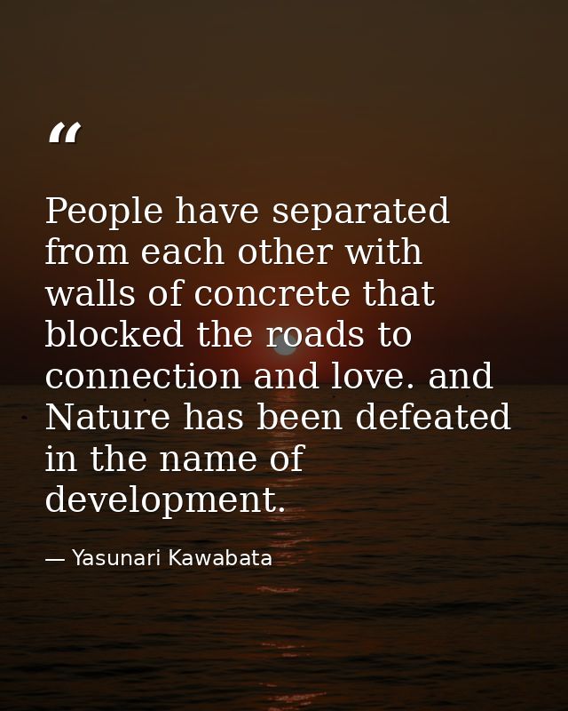 People have separated from each other with walls of concrete that blocked the roads to connection and love. and Nature h — Yasunari Kawabata