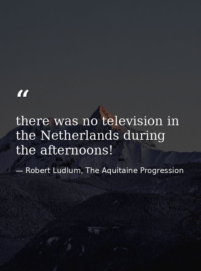 there was no television in the Netherlands during the afternoons! — Robert Ludlum, The Aquitaine Progression