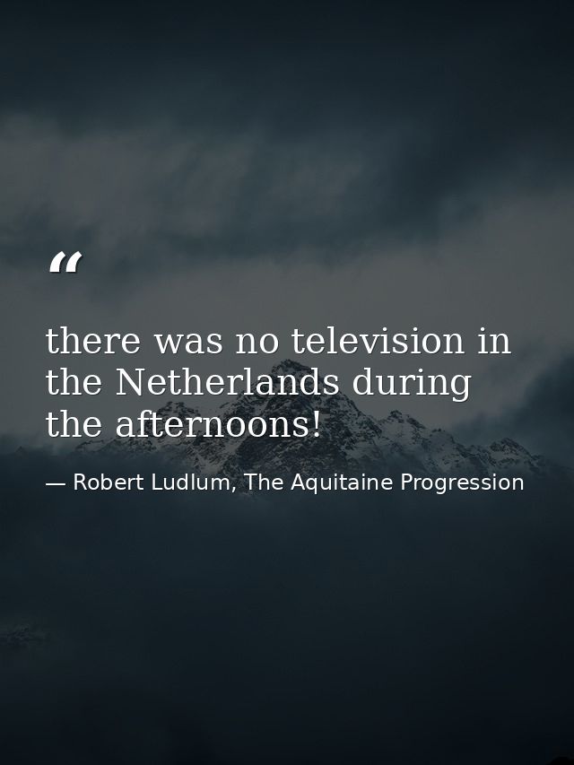 there was no television in the Netherlands during the afternoons! — Robert Ludlum, The Aquitaine Progression