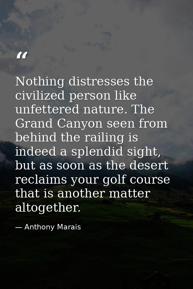 Nothing distresses the civilized person like unfettered nature. The Grand Canyon seen from behind the railing is indeed  — Anthony Marais