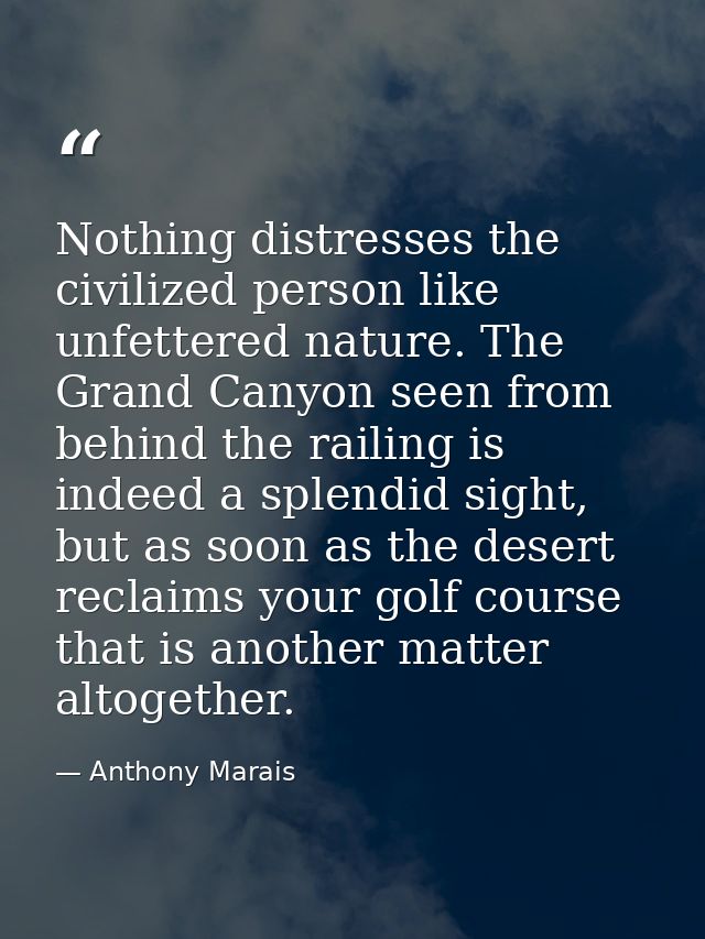 Nothing distresses the civilized person like unfettered nature. The Grand Canyon seen from behind the railing is indeed  — Anthony Marais