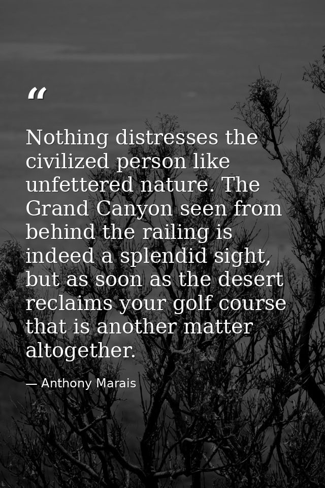Nothing distresses the civilized person like unfettered nature. The Grand Canyon seen from behind the railing is indeed  — Anthony Marais
