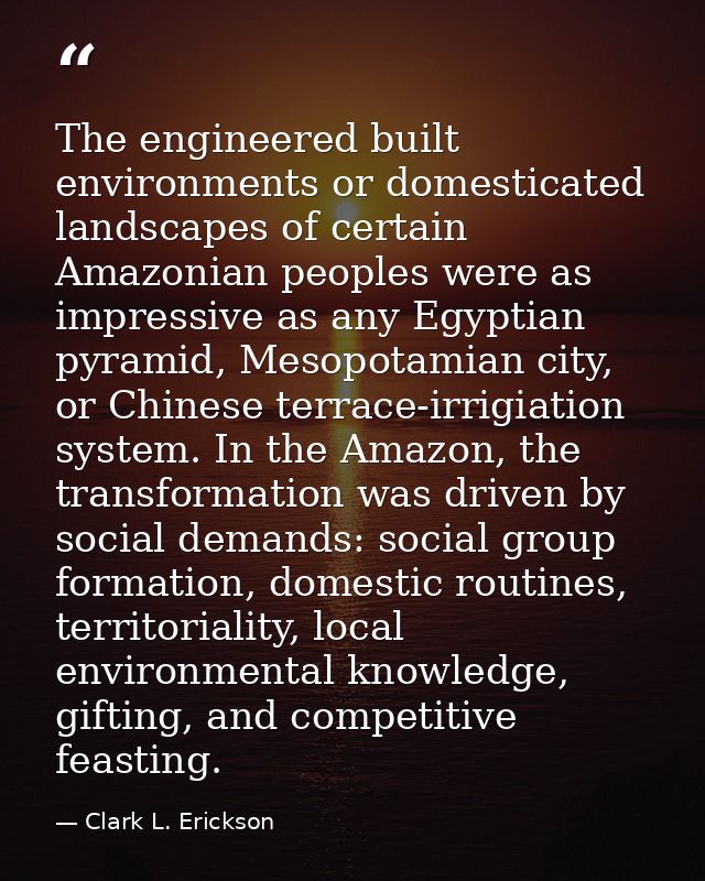 The engineered built environments or domesticated landscapes of certain Amazonian peoples were as impressive as any Egyp — Clark L. Erickson