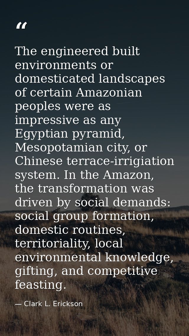 The engineered built environments or domesticated landscapes of certain Amazonian peoples were as impressive as any Egyp — Clark L. Erickson