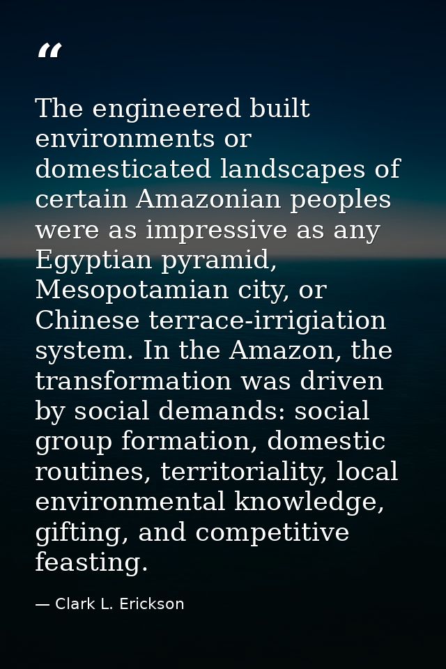 The engineered built environments or domesticated landscapes of certain Amazonian peoples were as impressive as any Egyp — Clark L. Erickson