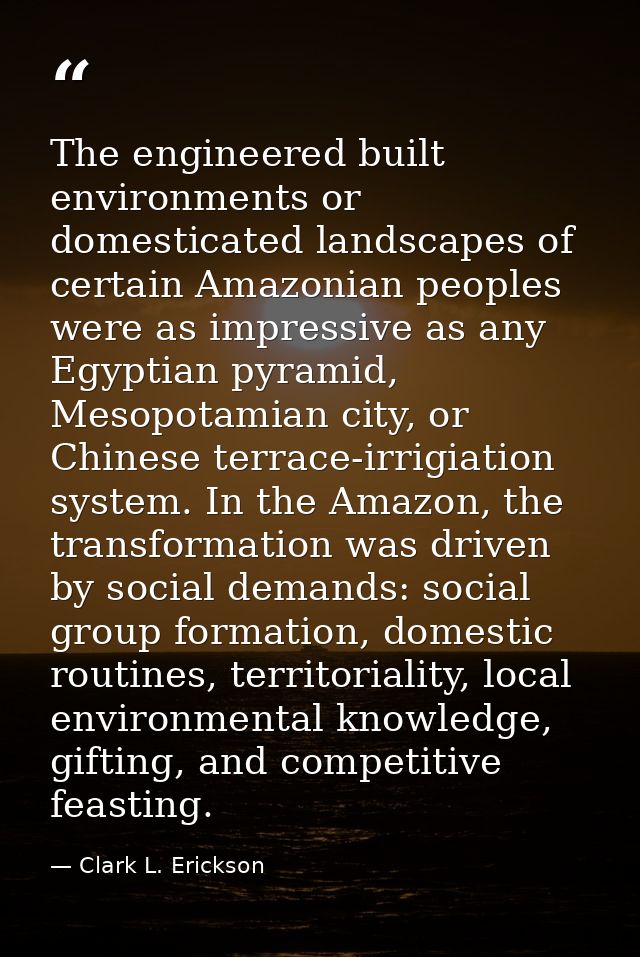 The engineered built environments or domesticated landscapes of certain Amazonian peoples were as impressive as any Egyp — Clark L. Erickson