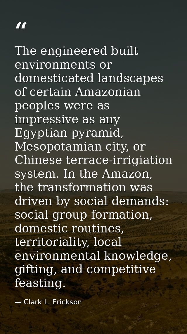 The engineered built environments or domesticated landscapes of certain Amazonian peoples were as impressive as any Egyp — Clark L. Erickson
