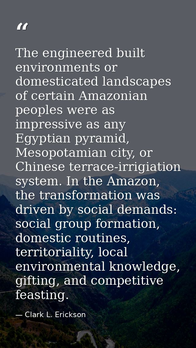 The engineered built environments or domesticated landscapes of certain Amazonian peoples were as impressive as any Egyp — Clark L. Erickson