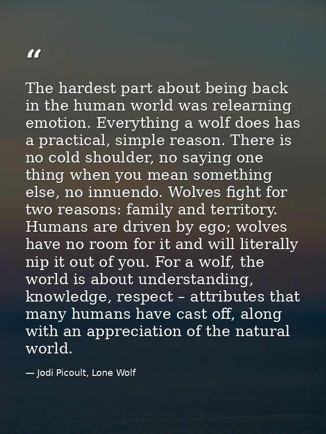 The hardest part about being back in the human world was relearning emotion. Everything a wolf does has a practical, sim — Jodi Picoult, Lone Wolf