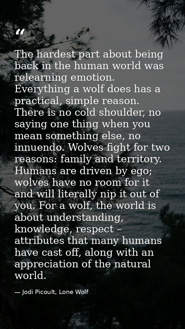 The hardest part about being back in the human world was relearning emotion. Everything a wolf does has a practical, sim — Jodi Picoult, Lone Wolf