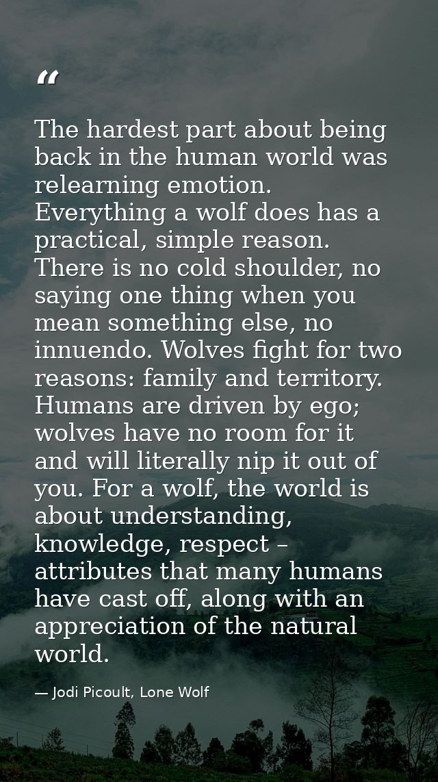 The hardest part about being back in the human world was relearning emotion. Everything a wolf does has a practical, sim — Jodi Picoult, Lone Wolf