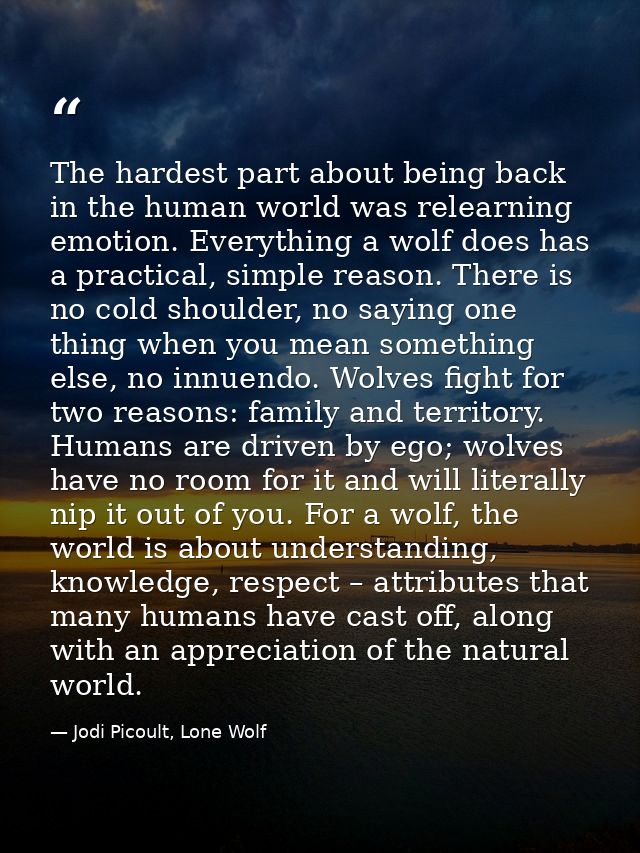 The hardest part about being back in the human world was relearning emotion. Everything a wolf does has a practical, sim — Jodi Picoult, Lone Wolf