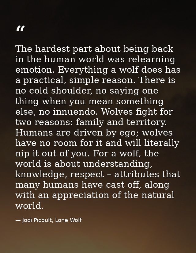 The hardest part about being back in the human world was relearning emotion. Everything a wolf does has a practical, sim — Jodi Picoult, Lone Wolf