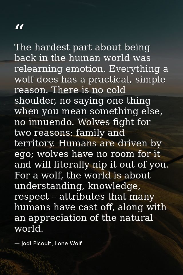 The hardest part about being back in the human world was relearning emotion. Everything a wolf does has a practical, sim — Jodi Picoult, Lone Wolf